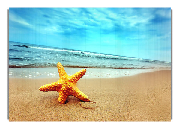 Starfish On The Beach