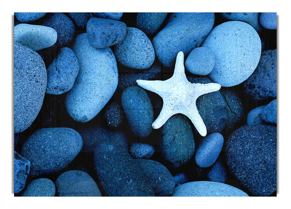 Starfish Pebbles