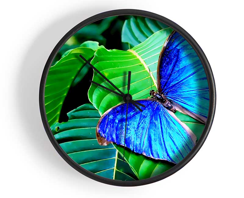 Stunning Blue Butterfly Clock - Wallart-Direct UK