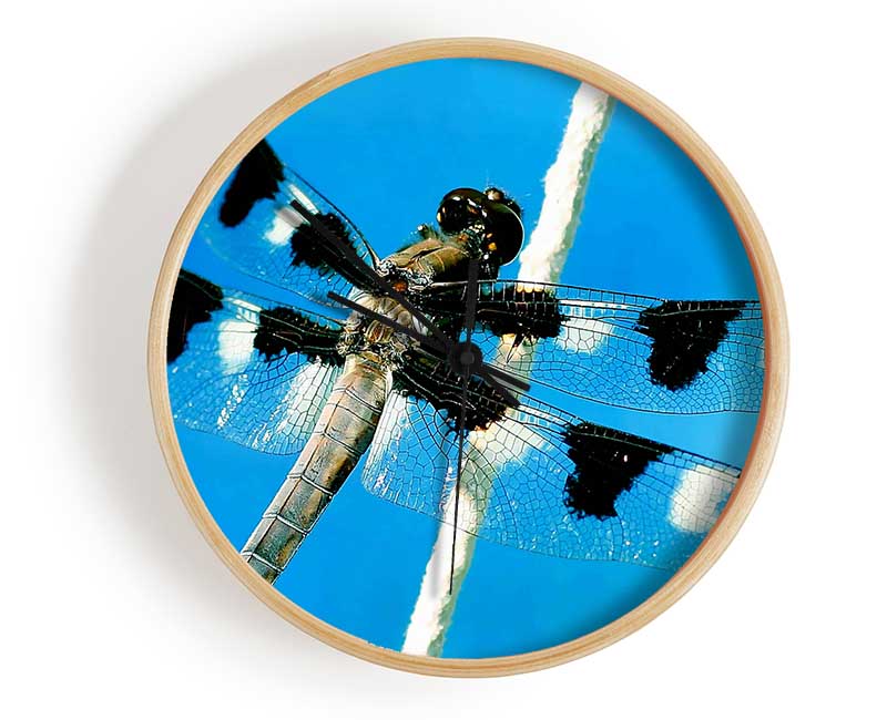 Stunning Winged Insect Clock - Wallart-Direct UK