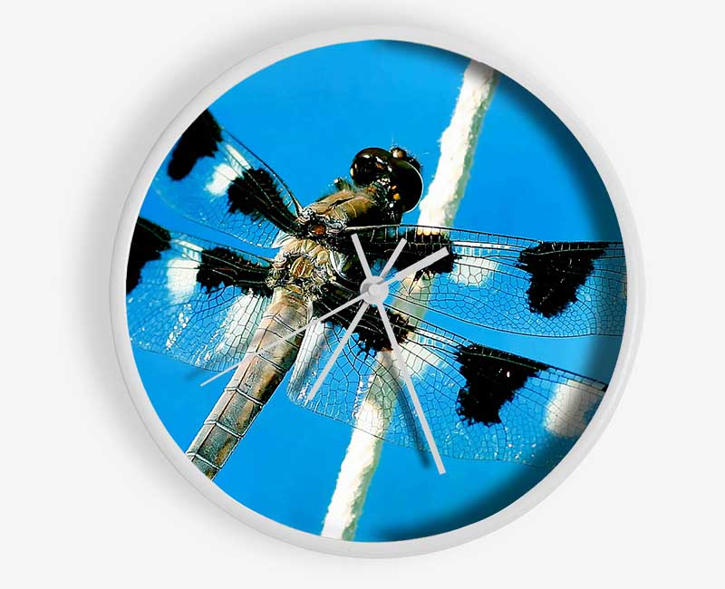 Stunning Winged Insect Clock - Wallart-Direct UK