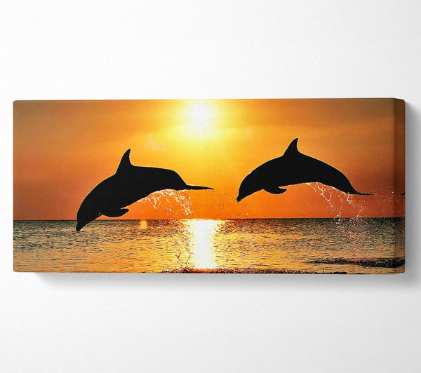 Sunset Dolphins