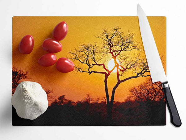 Sunset In Africa Glass Chopping Board