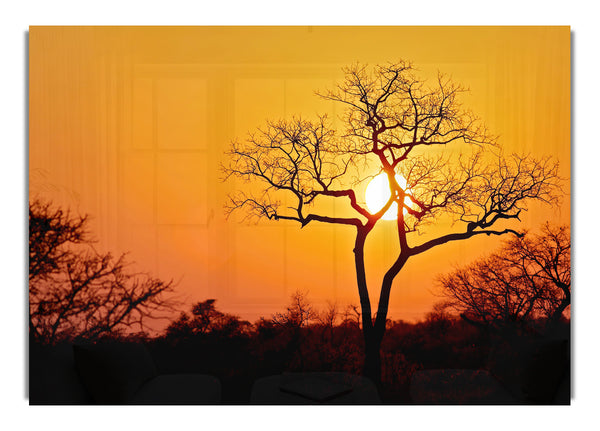 Sunset In Africa