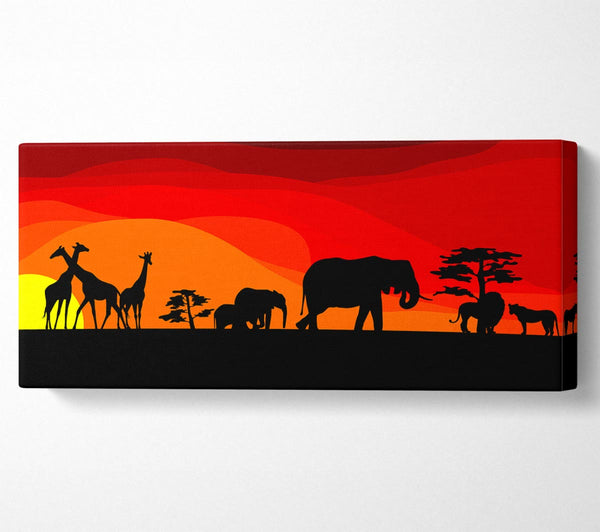 Sunset Safari