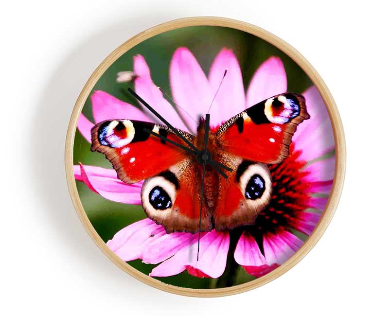 Symmetrical Butterfly Clock - Wallart-Direct UK