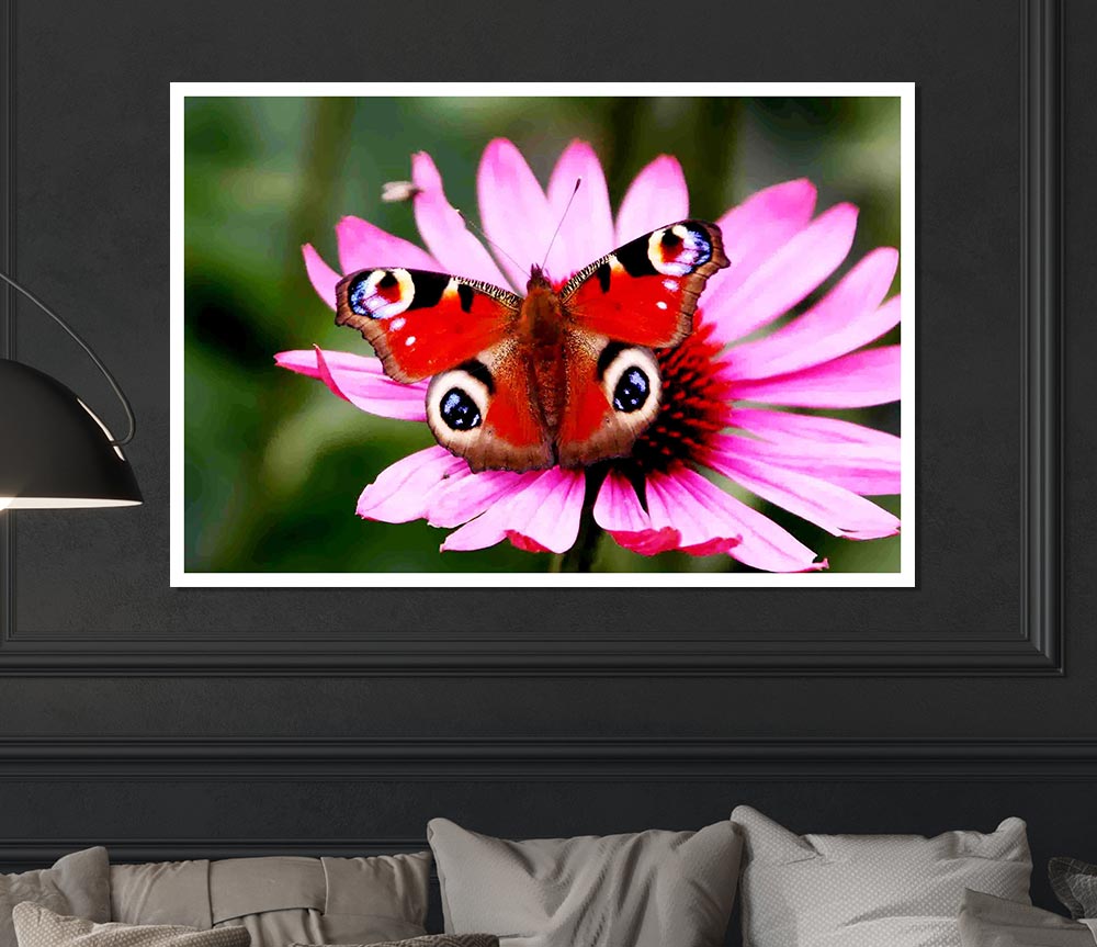 Symmetrical Butterfly Print Poster Wall Art