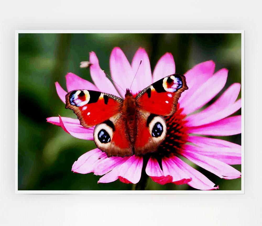 Symmetrical Butterfly Print Poster Wall Art