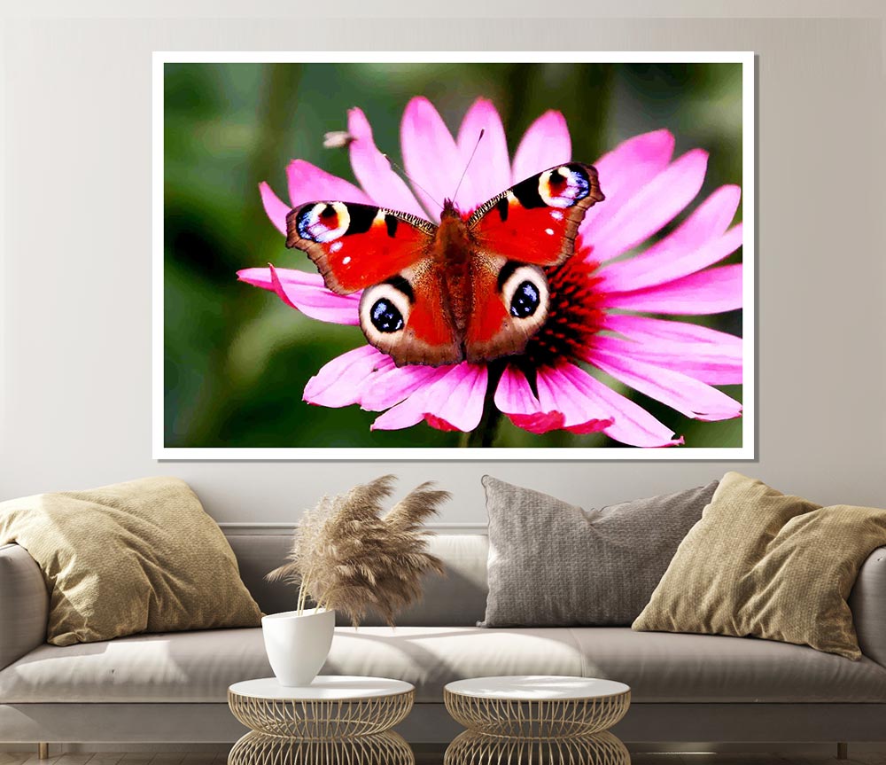 Symmetrical Butterfly Print Poster Wall Art