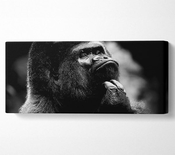 Thoughtful Gorilla B n W