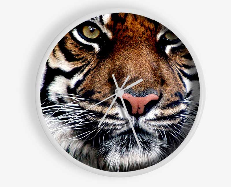 Tiger Face Clock - Wallart-Direct UK