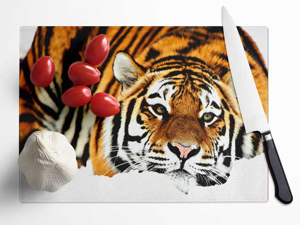 Tiger After The Hunt Glass Chopping Board