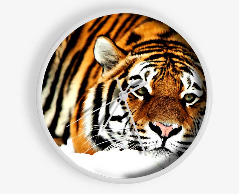 Tiger After The Hunt Clock - Wallart-Direct UK