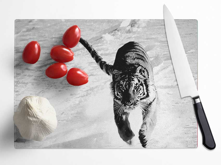 Tiger Running In Snow Glass Chopping Board