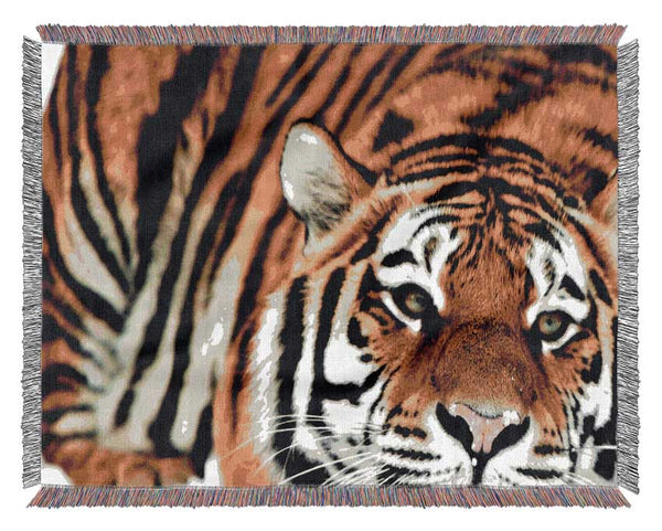 Tiger Snow Nose Woven Blanket