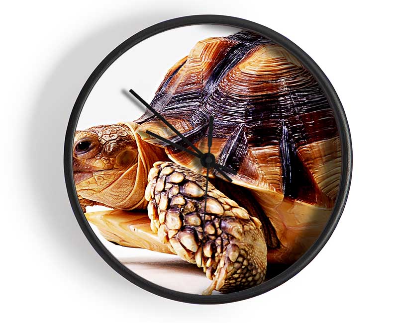 Tortuous Walk Clock - Wallart-Direct UK