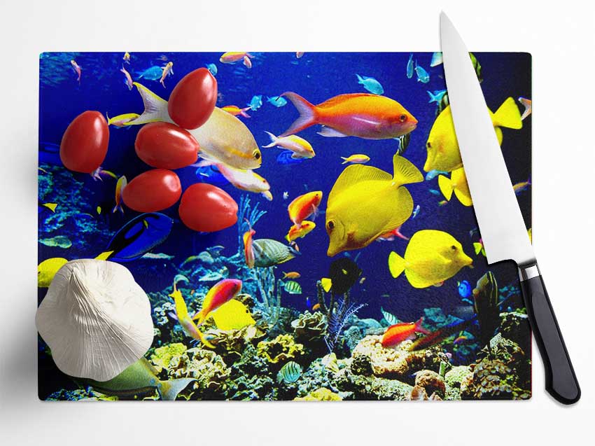 Tropical Fish Underwater Glass Chopping Board