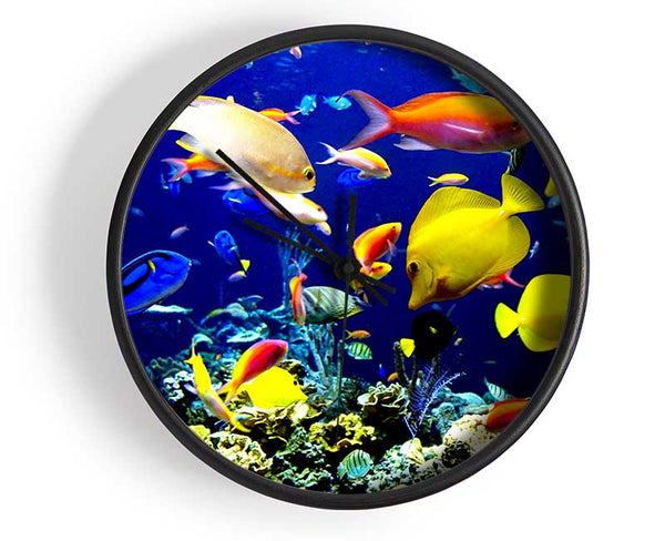 Tropical Fish Underwater Clock - Wallart-Direct UK