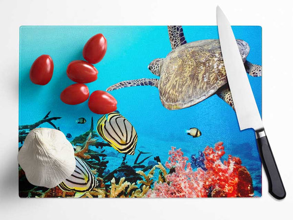 Underwater Turtle And Fish Glass Chopping Board