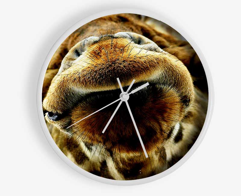 What Are You Looking At Giraffe Clock - Wallart-Direct UK