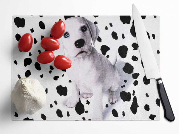 Wheres My Spots Dalmatian Glass Chopping Board