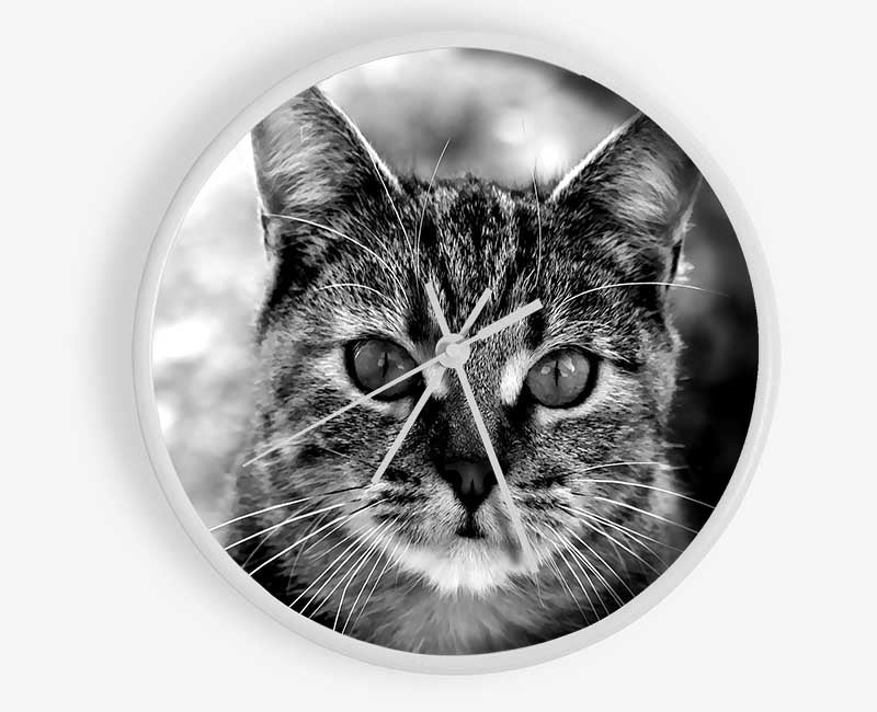 Whiskers Clock - Wallart-Direct UK