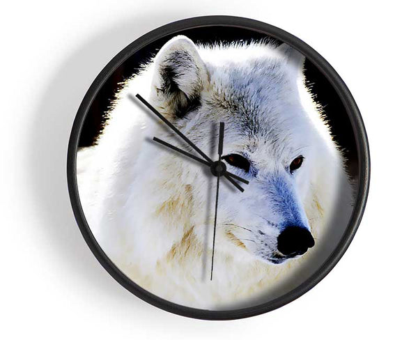 White Arctic Wolf Clock - Wallart-Direct UK