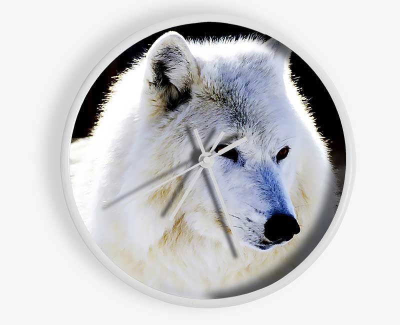 White Arctic Wolf Clock - Wallart-Direct UK