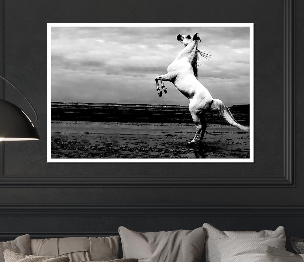 White Horse Beauty Print Poster Wall Art