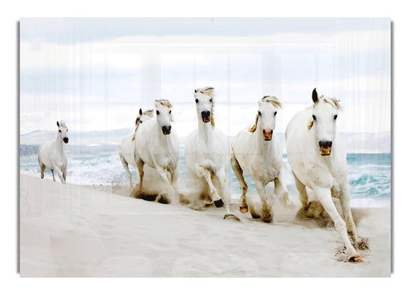 White Ocean Horses