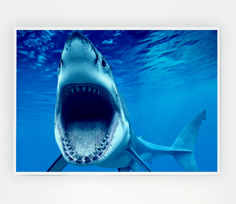 White Shark Teeth Print Poster Wall Art