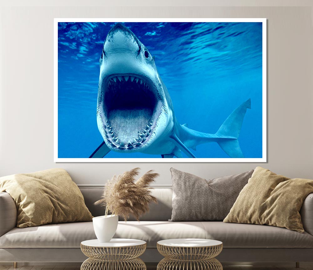 White Shark Teeth Print Poster Wall Art