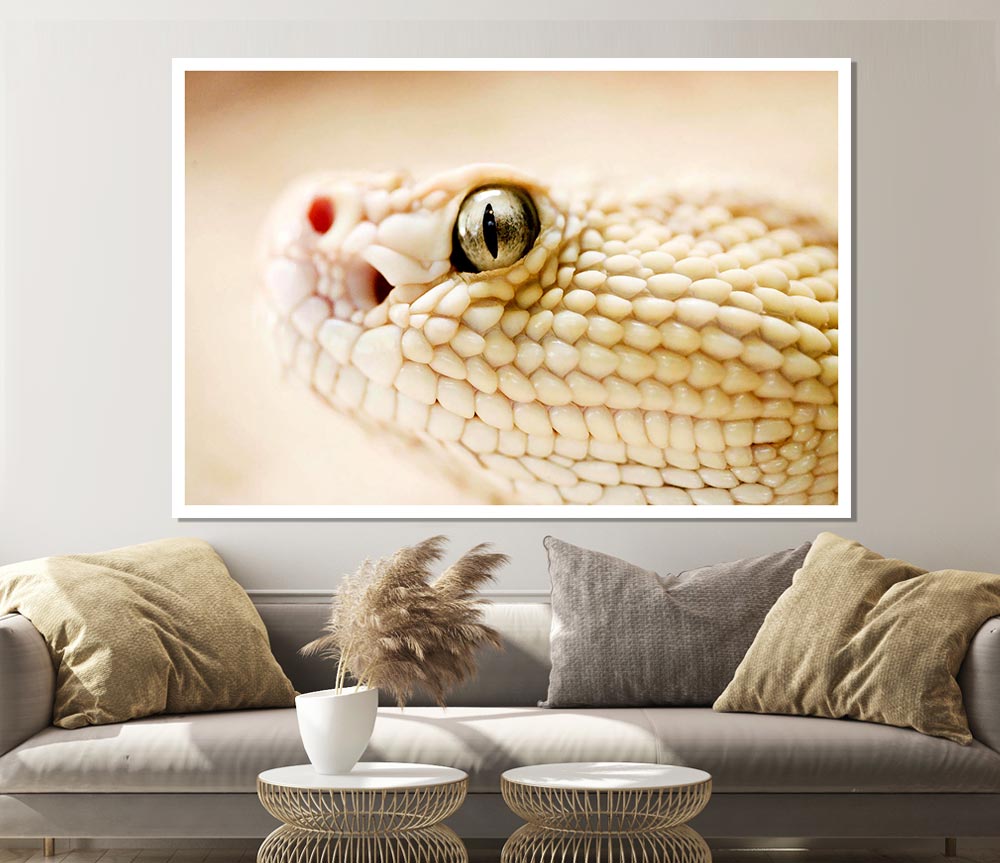 White Snake Print Poster Wall Art