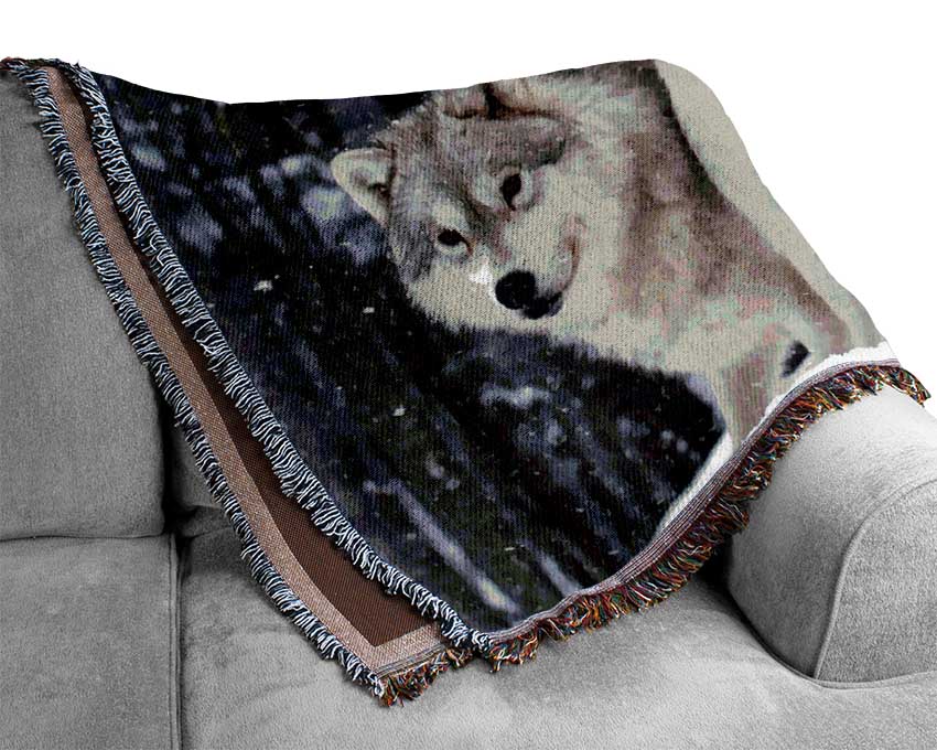 White Wolf Pack Woven Blanket