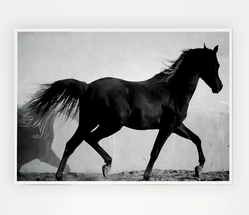 Wild Horses B N W Print Poster Wall Art