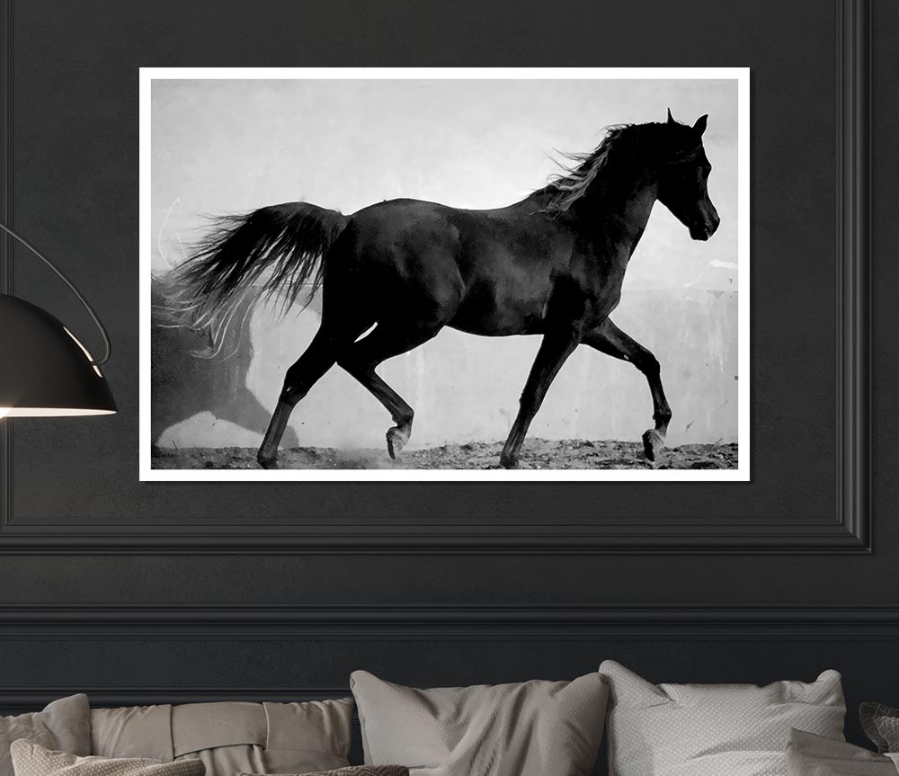 Wild Horses B N W Print Poster Wall Art