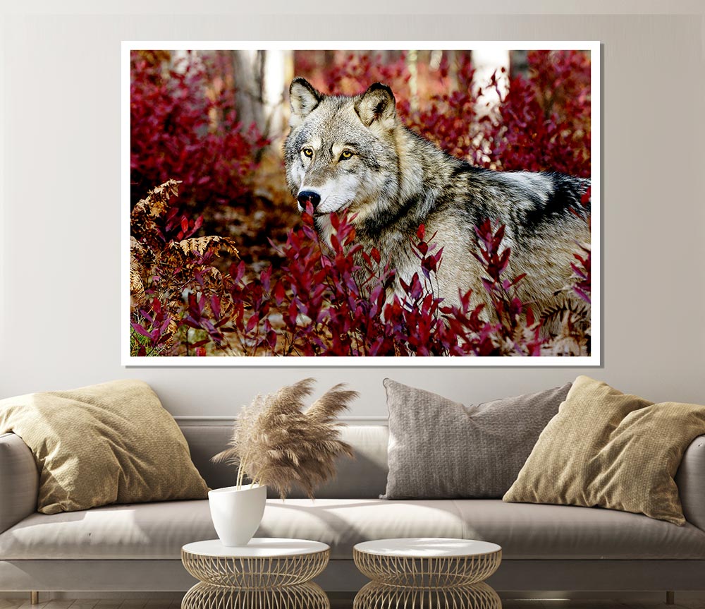 Wild Wolf Print Poster Wall Art