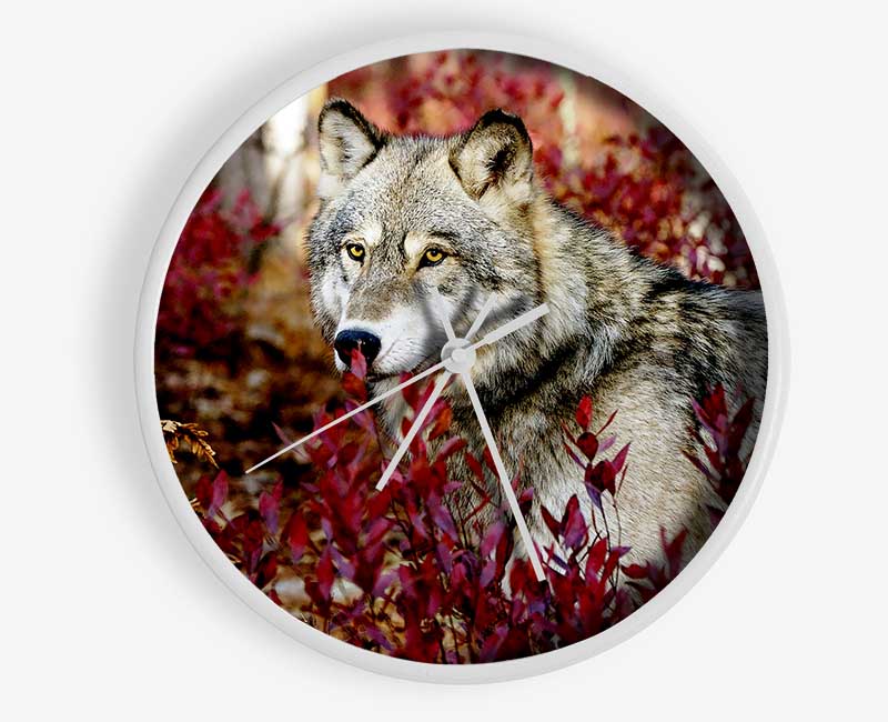 Wild Wolf Clock - Wallart-Direct UK