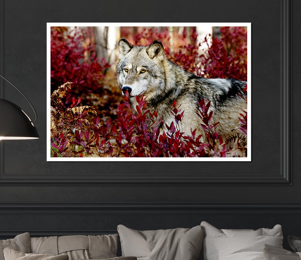 Wild Wolf Print Poster Wall Art