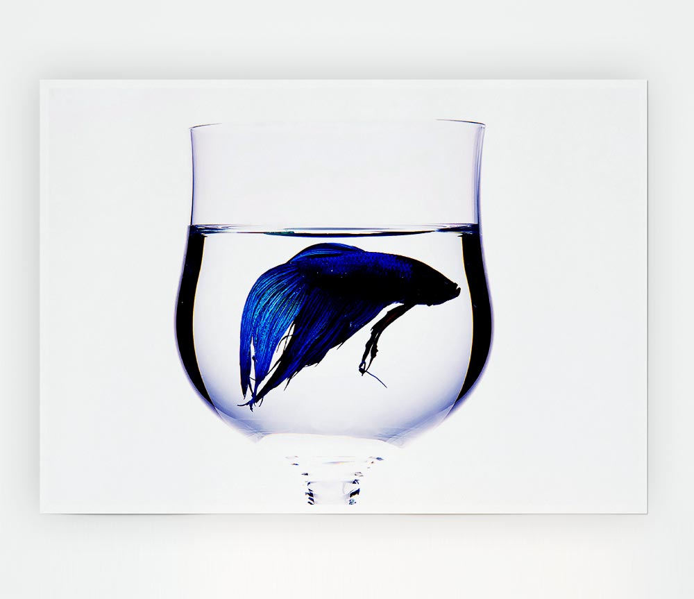 Wineglass Fish Print Poster Wall Art