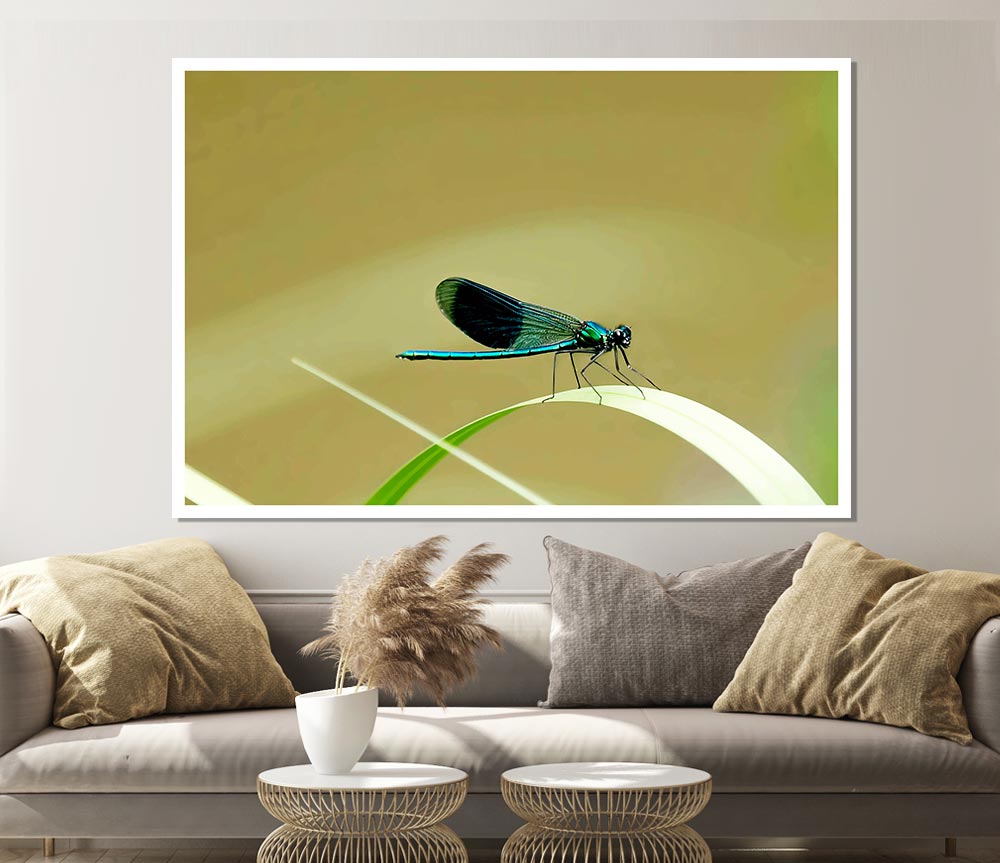 Wings Of Beauty Print Poster Wall Art