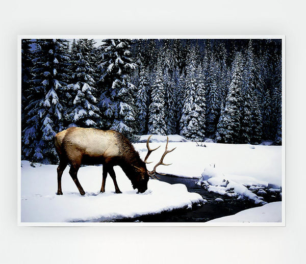 Winter Deer Print Poster Wall Art