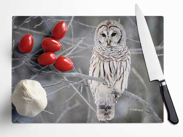 Winter Owl Glass Chopping Board