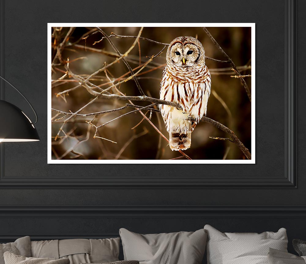 Wise Owl Print Poster Wall Art