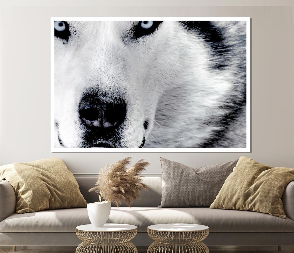 Wolf Eyes Print Poster Wall Art