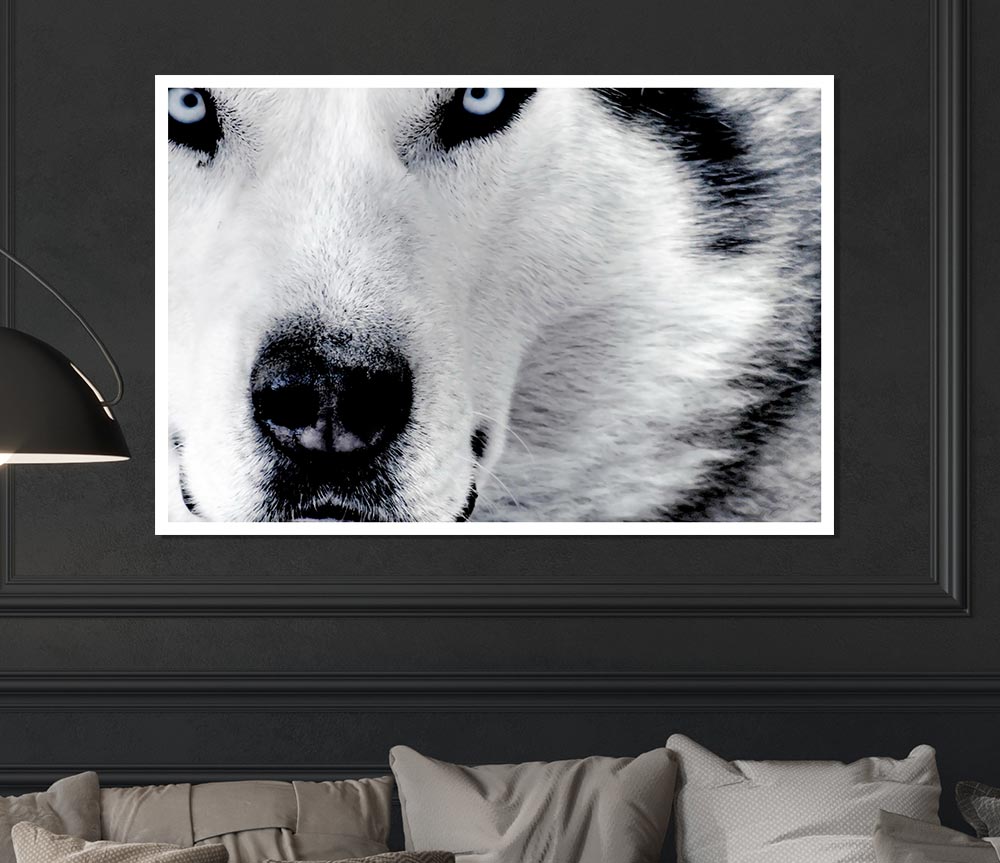 Wolf Eyes Print Poster Wall Art