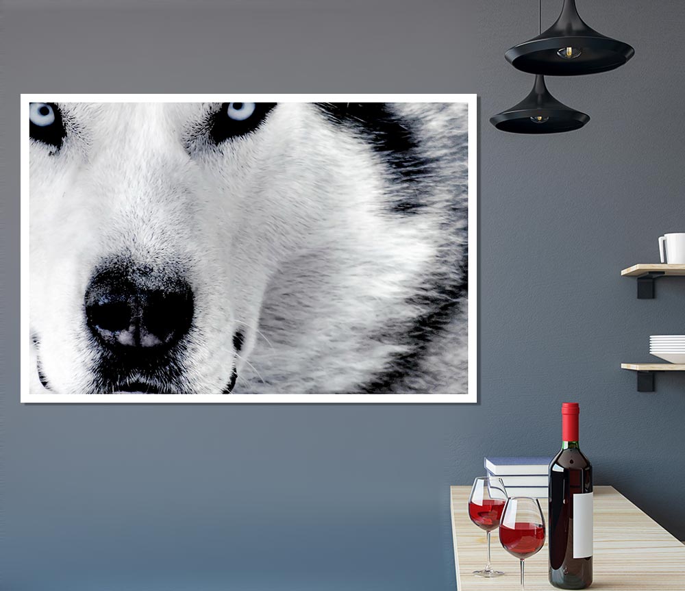 Wolf Eyes Print Poster Wall Art