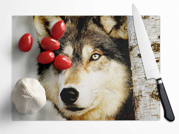 Wolf Glare Glass Chopping Board