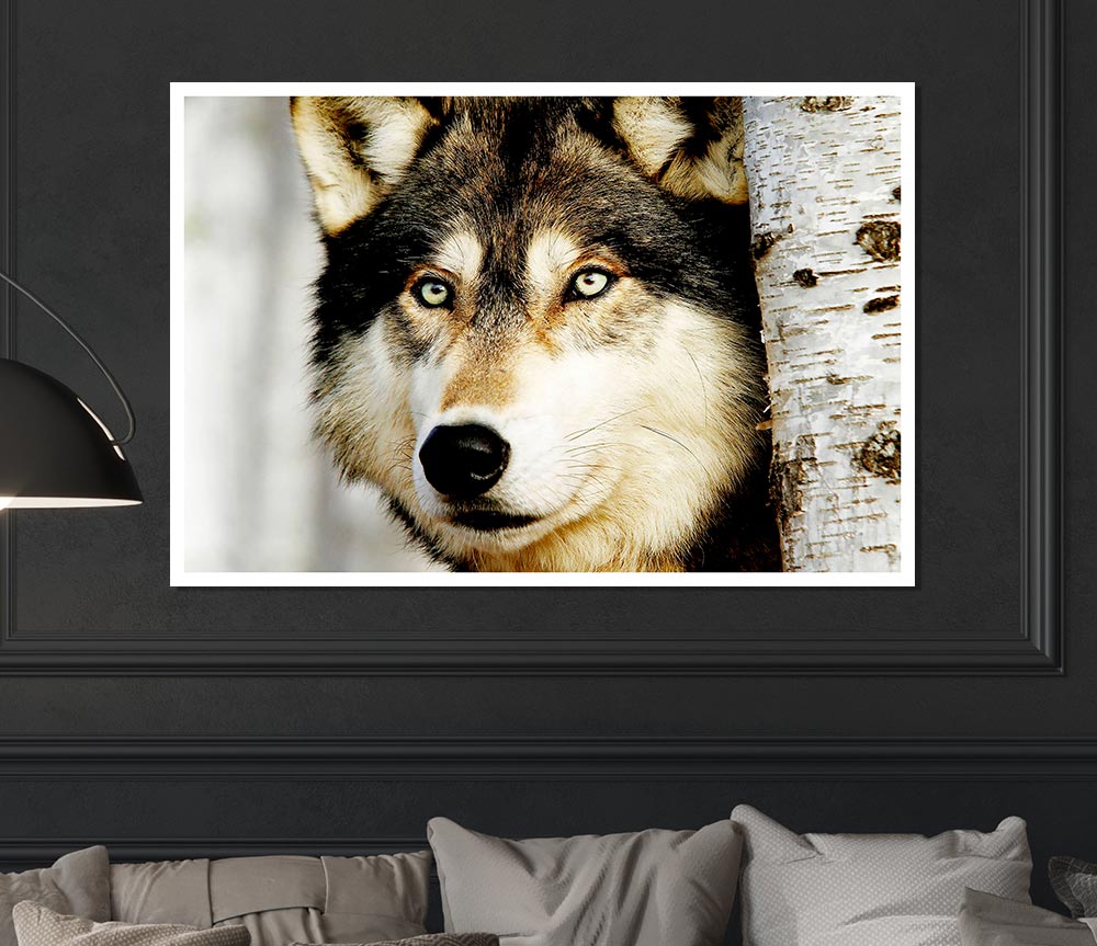 Wolf Glare Print Poster Wall Art