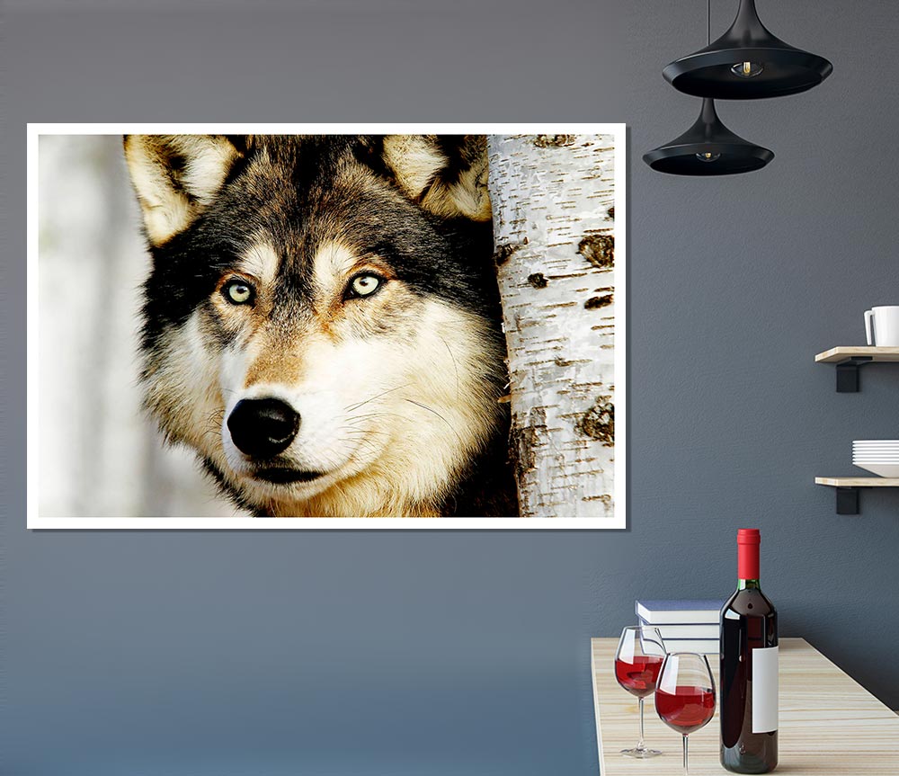 Wolf Glare Print Poster Wall Art